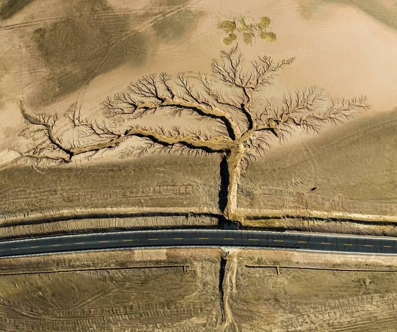 Grand Prize, Li Ping, China. Gullies formed by rainwater erosion span out like a tree in Tibet. All photos: TNC Photo Contest 2022 / The photographer
