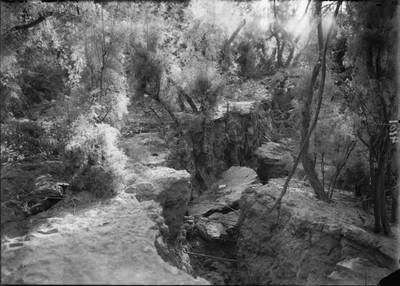 Great rifts formed along the banks of the Jordan River during the earthquake. Photo: G. Eric and Edith Matson Photograph Collection (Library of Congress)