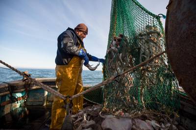 A fisherman empties his net aboard fishing boat 'About Time' while trawling in the English Channel from the Port of Newhaven, East Sussex, U.K. on Sunday, Jan. 10, 2021. While Prime Minister Boris Johnson claimed last month’s trade deal will let the U.K. regain control of its fishing waters by taking back 25% of the European Union’s rights over five years, many fishermen feel let down. Photographer: Jason Alden/Bloomberg