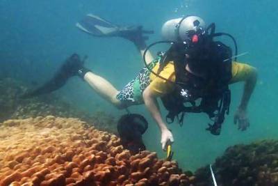 John Burt, associate professor of biology at New York University Abu Dhabi, has studied the region’s seas for the past 15 years. Photo: Joerg Wiedenmann