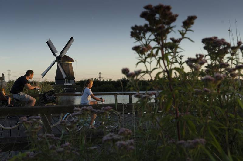 People cycle past a windmill in Oostzaan, the Netherlands. AP