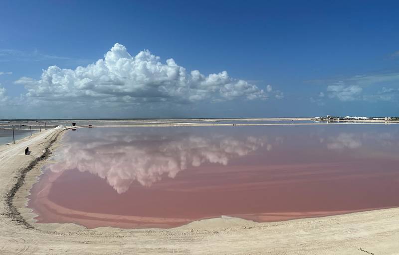 One of the pink salt evaporation ponds at Las Coloradas on the northern coast of the Yucatan Peninsula in Mexico. The pink tint comes from red-coloured algae, plankton and brine shrimp. AFP