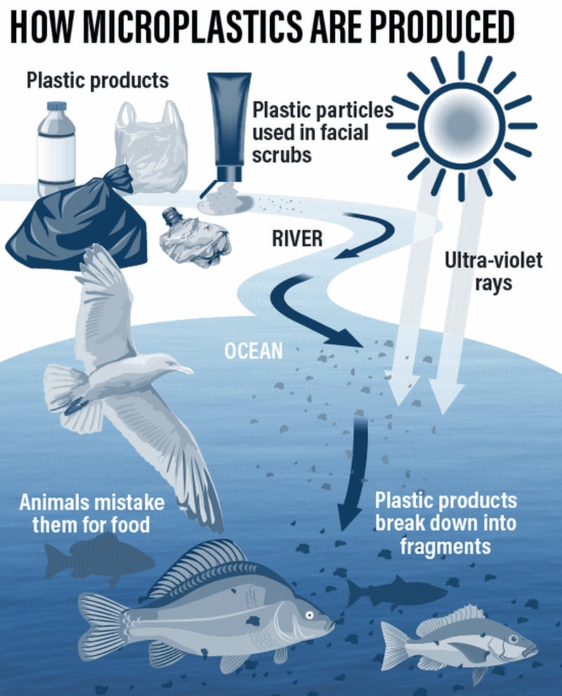 How microplastics are produced and make their way into our food. Roy Cooper / The National