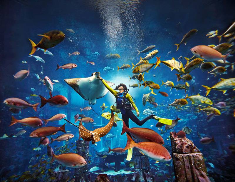 Atlantis, The Palm was one of the first hotels in Dubai to use virtual reality. Courtesy Atlantis The Palm