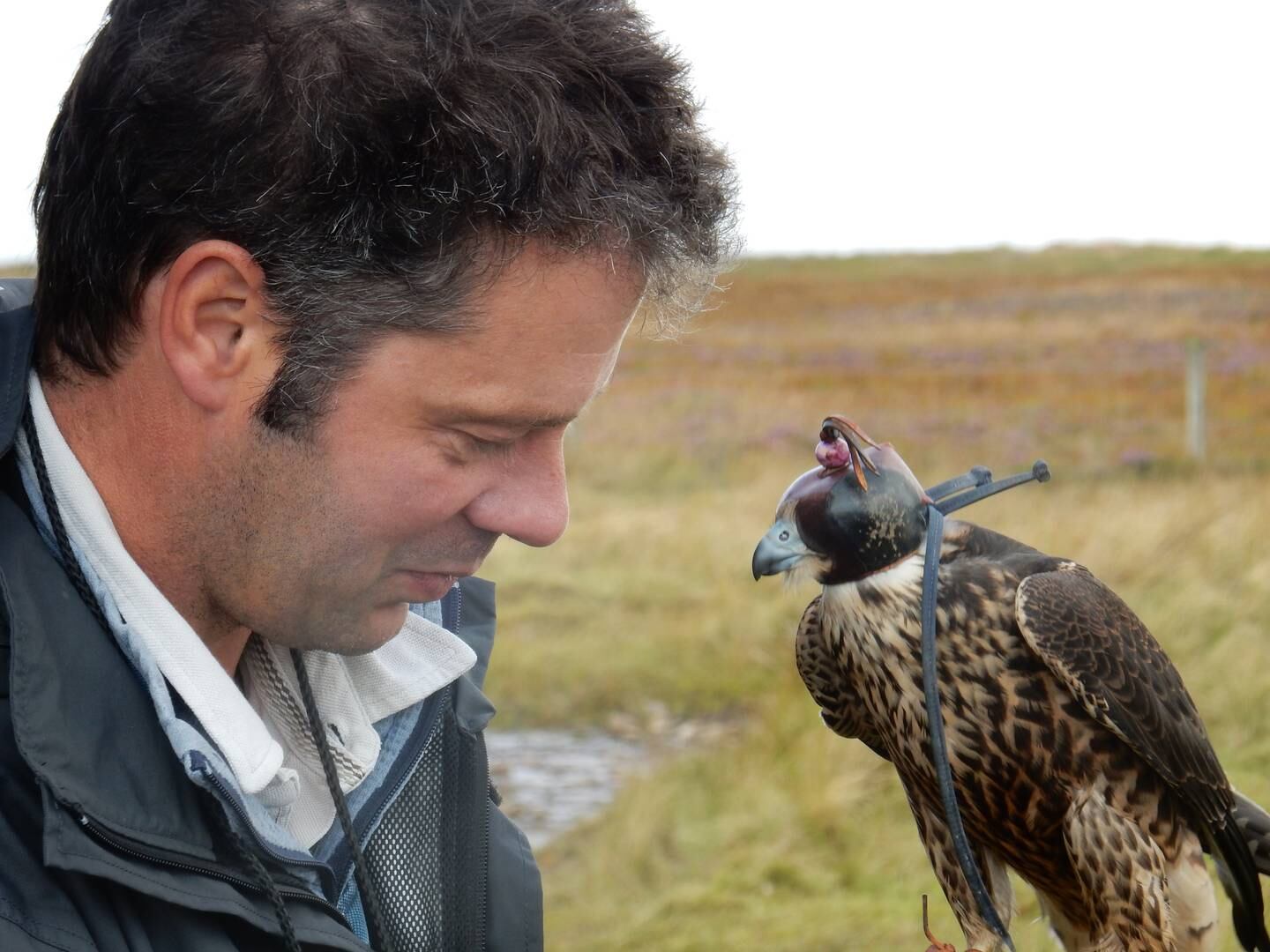 Mark Upton is a well-known wildlife artist and executive secretary of the International Association for Falconry and Conservation of Birds of Prey.  Photo: Mark Upton               
