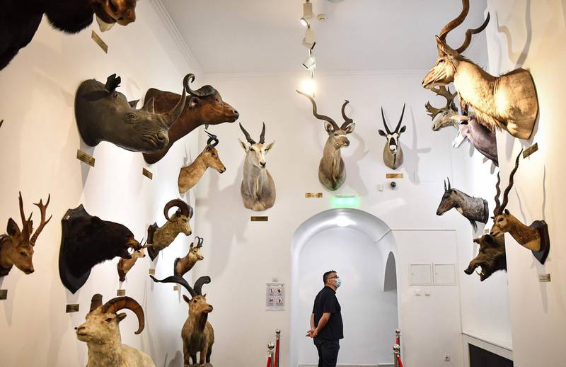 A man visits the Grigore Antipa National Natural History Museum in Bucharest after its reopening.   AFP