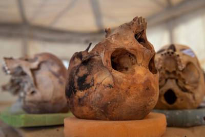 A trove of ancient skulls are on display that Egyptian archaeologist Zahi Hawass and his team unearthed in a vast necropolis, in Saqqara, south of Cairo, Egypt. AP