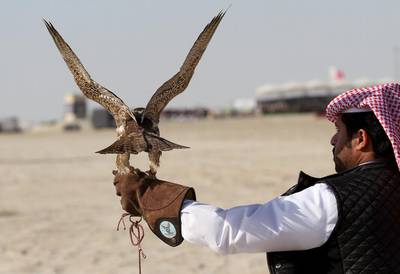The kidnapping of 26 Qataris in December in the Iraqi desert while hunting has highlighted the risks of pursuing the “sport of kings” at a time of heightened regional turmoil. Naseem Zeitoon / Reuters