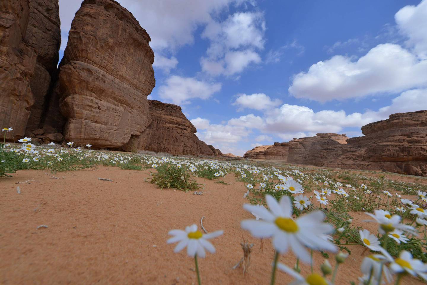A picture taken on February 11, 2019, shows a partial view of the Sharaan Nature Reserve near the town of al-Ula in northwestern Saudi Arabia.  / AFP / FAYEZ NURELDINE
