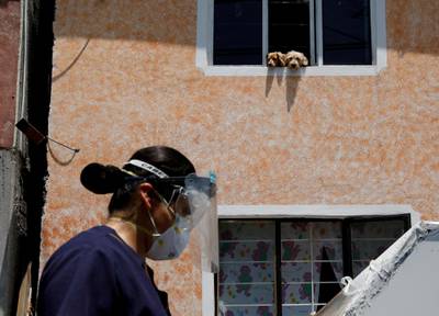 Two dogs look out of a window as a healthcare worker walks towards a house while going door-to-door to test people for the coronavirus disease in the municipality of Tlahuac, one of the highly contagious zone of Mexico City, in Mexico. Reuters