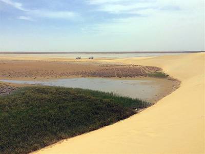 Al-Asfar lake ecosystem