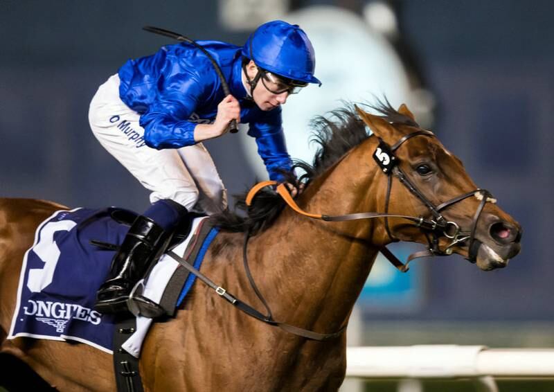 Benbatl goes in the Dubai Turf, the penultimate race on Dubai World Cup night, and is one of the pre-race favourites. Erika Rasmussen for The National