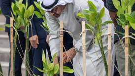President Sheikh Mohamed plants mangrove tree in Indonesian forest