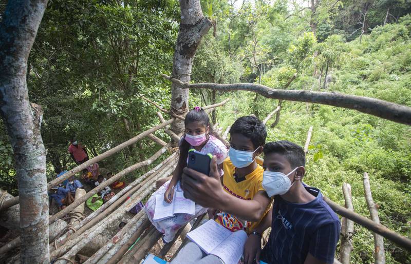 Sri Lankan students sharing one smartphone attend their online classes from a tree house on a mountain in a reserve forest in Lunugala, Sri Lanka. AP