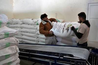 Workers load bags of flour into a truck in Sebline, Lebanon. Wheat prices led the decline in food prices in July, falling by as much as 14.5 per cent monthly. AP