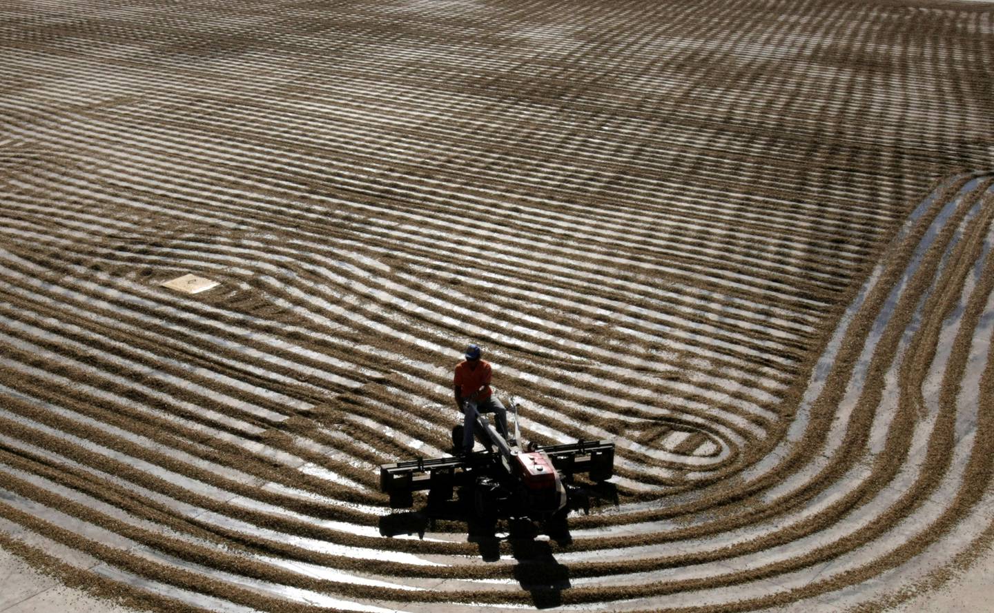 A worker dries Arabica coffee beans in Brazil. Reuters