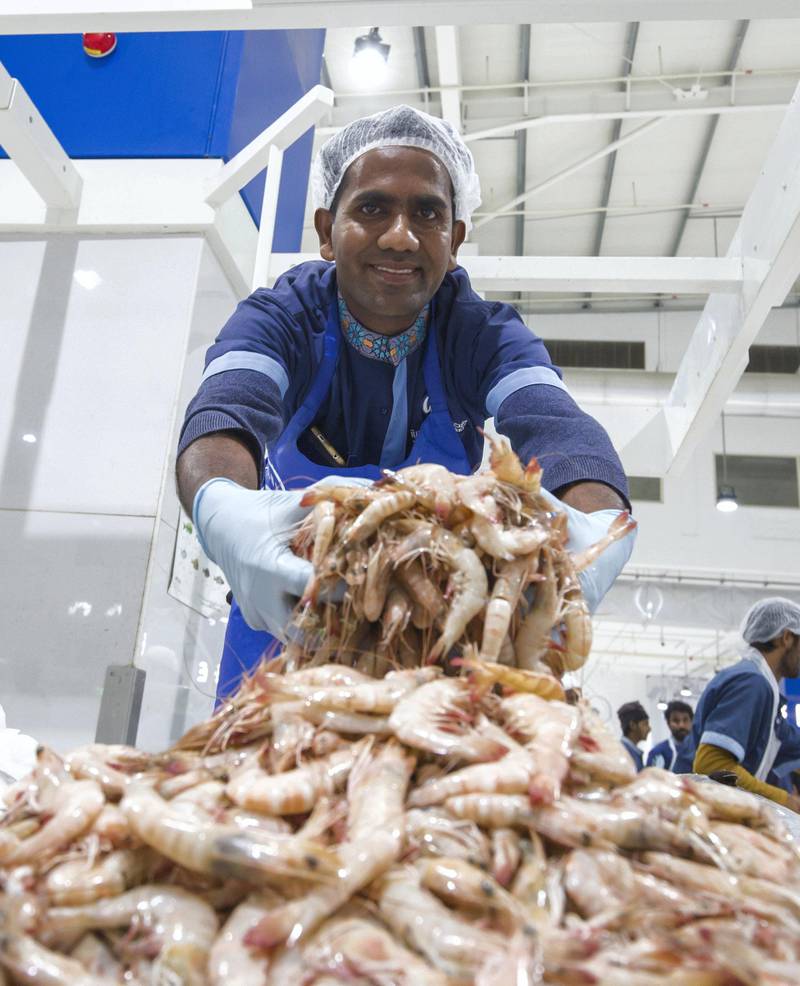 DUBAI, UNITED ARAB EMIRATES - Jamal Udin a vendor inside the seafood section at the Waterfront Market, Deira.  Leslie Pableo for The National