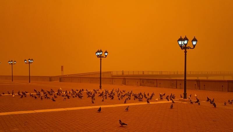 Birds flock in an empty car park during the sandstorm. EPA