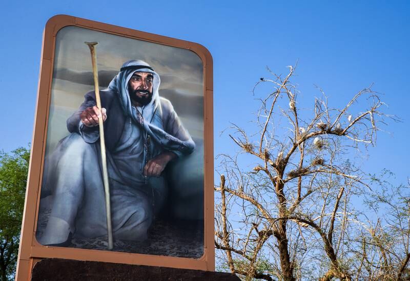 Birds nest on the tree near a portrait of UAE Founding Father, the late Sheikh Zayed bin Sultan Al Nahyan. Victor Besa / The National
