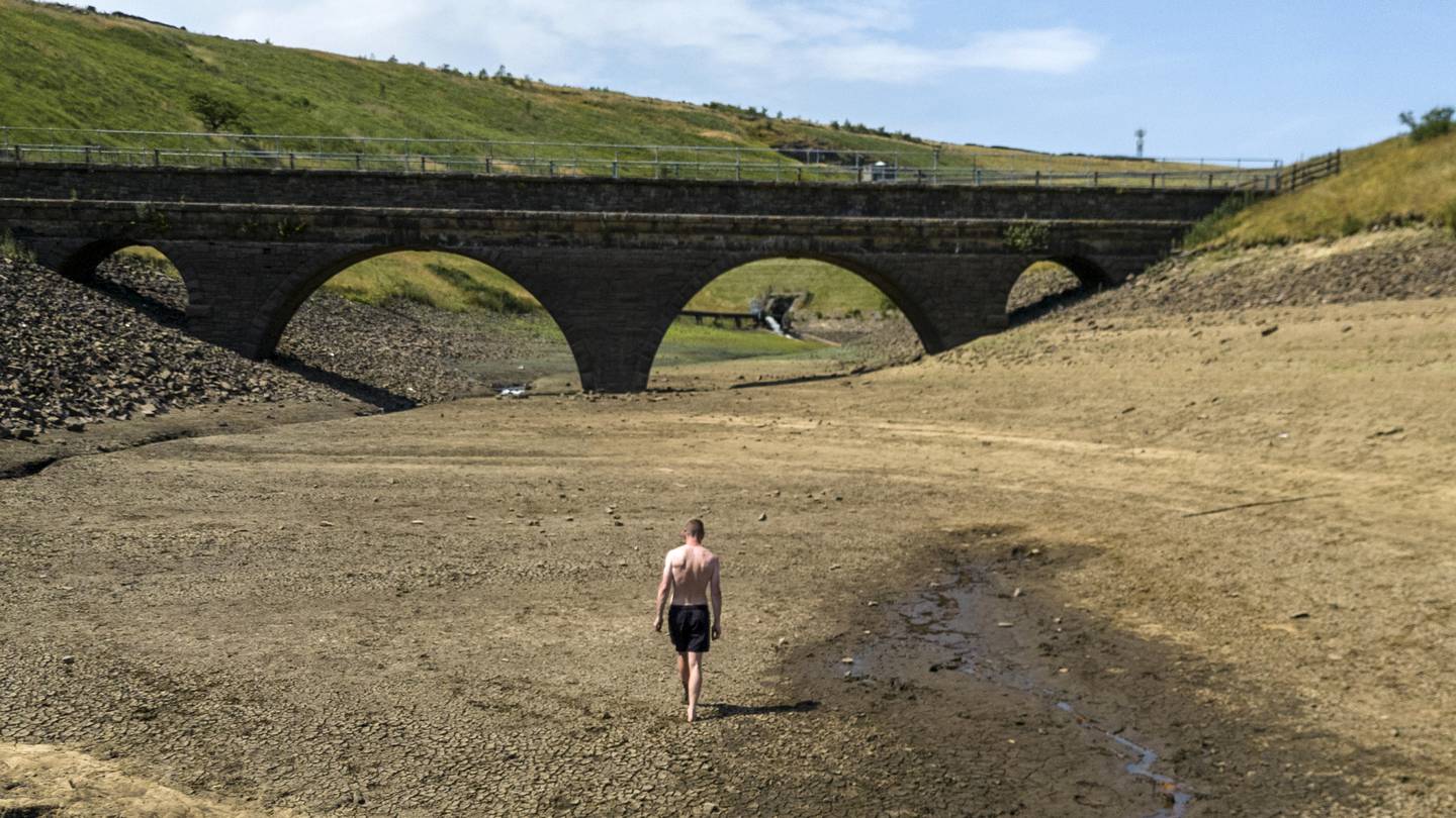 UK drought panic as Europe shrivels in battle to beat water scarcity - The National