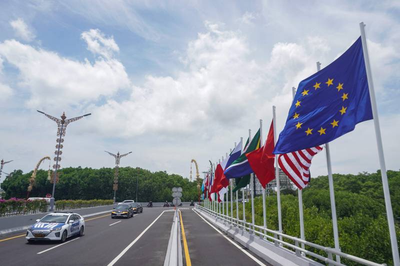 Flags of the participating countries line a motorway. AFP