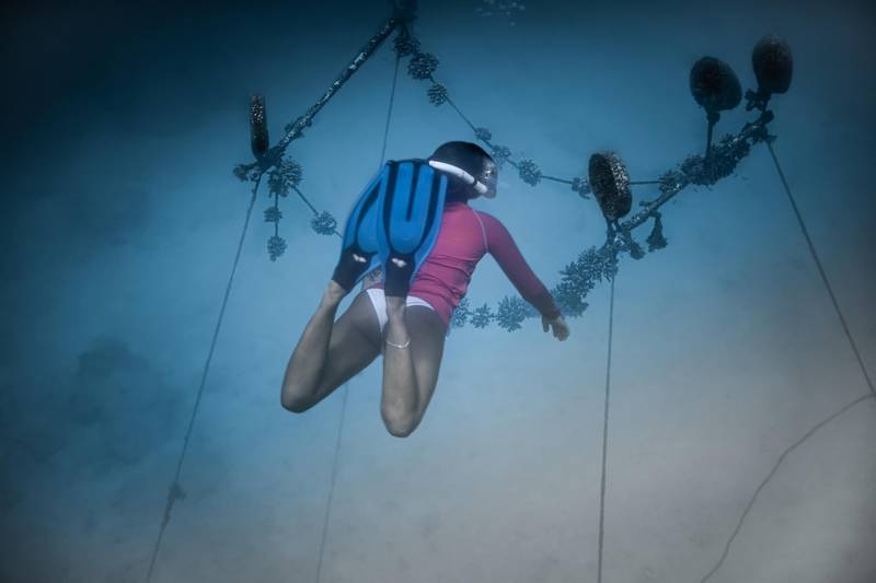 Travellers can take part in coral restoration programmes at Hilton Seychelles Northolme Resort & Spa.
