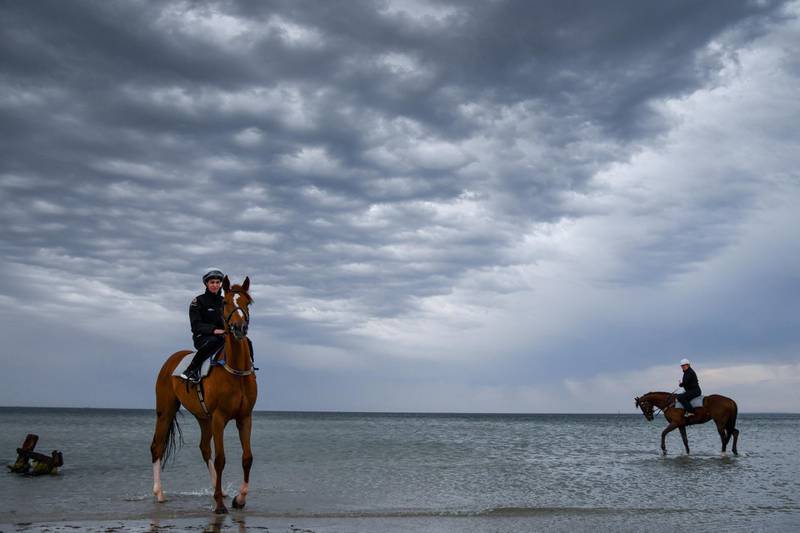 Kings Will Dream, right, and Finche at Altona beach in Melbourne, Australia, on Sunday, October 6. Kings Will Dream won the Turnbull Stakes at Flemington Racecourse the day before, with Finche a close second. EPA
