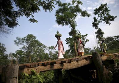 Workers carry tea leaves balanced on their heads after picking.