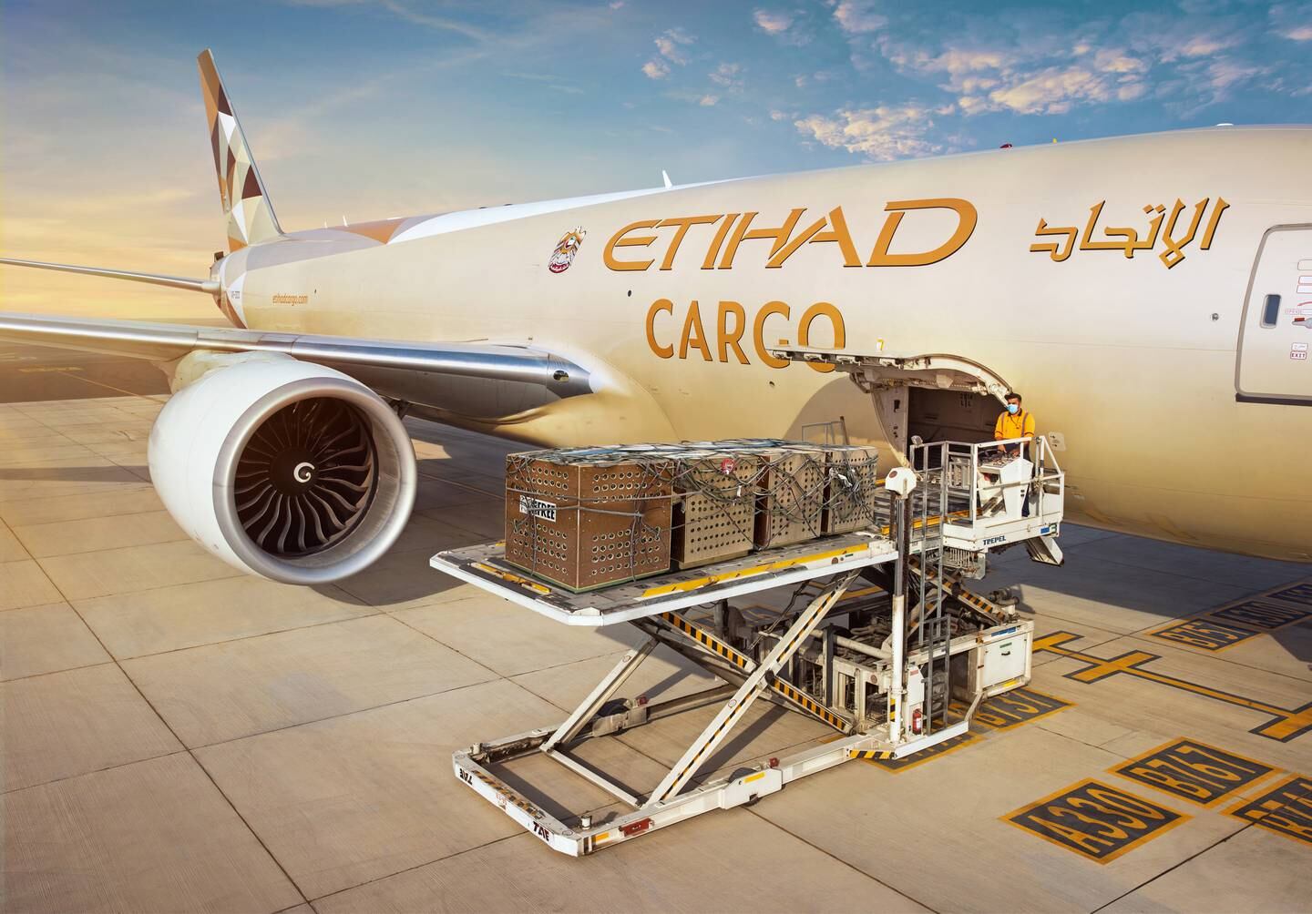 Etihad Cargo's Forever Home reduces the costs of transporting animals for rescue organisations and animal welfare groups. Photo: Etihad