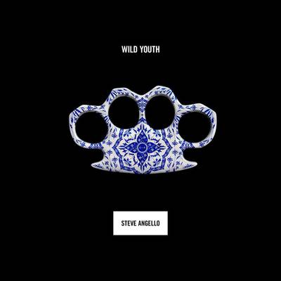 Wild Youth by Steve Angello. Size Records via AP