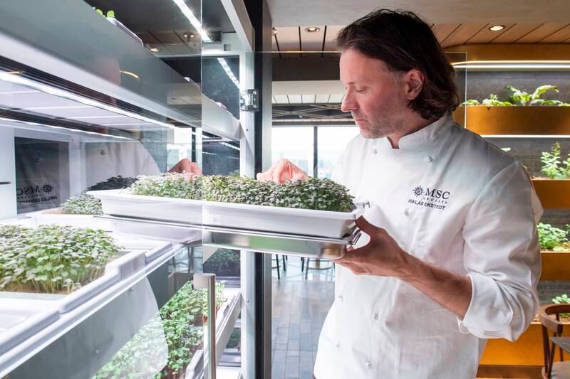 Michelin-starred chef Niklas Ekstedt heads the Chef’s Garden Kitchen restaurant, featuring the first-at-sea hydroponic garden. Getty Images