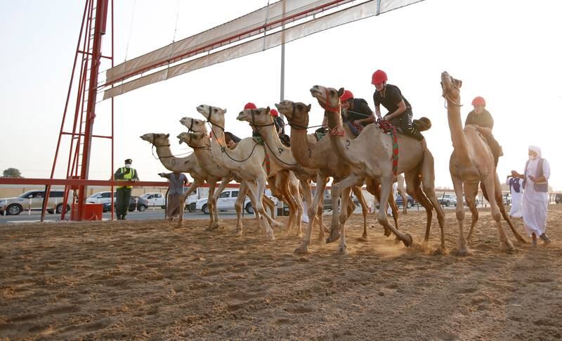 Female participants compete during the first Female Camel Racing Series C1 Championship at Al Marmoom Camel Racing Track in Dubai. EPA