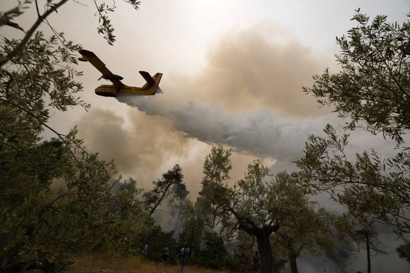 An aircraft drops water over a blaze in Ellinika village, Evia island.