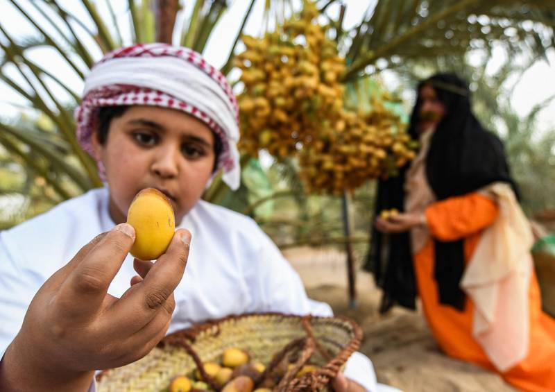 An Emirati holds up a freshly-picked date during the annual Liwa Date Festival in the western region of Liwa, south of Abu Dhabi on July 18, 2019.  The Liwa Date Festival aims to preserve Emirati heritage, specifically palm trees and half-ripe dates, knows as "ratab", which are deep-rooted in the Gulf country's traditions. / AFP / Karim SAHIB
