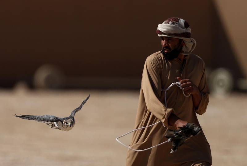 A man moves a lure to attract his falcon during Fazza Championship for Falconry – Telwah in Dubai, UAE. Getty Images
