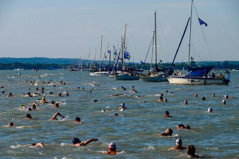 Professional and amateur athletes swim across Lake Balaton between Revfulop and Balatonboglar in Hungary, on Saturday, August 1. EPA