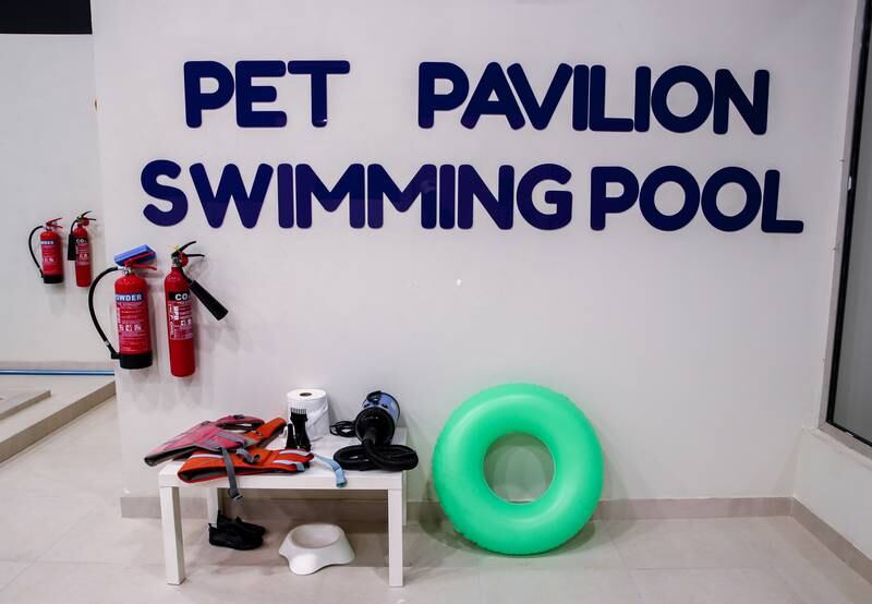 Life jackets on hand for any animal going into the pool 