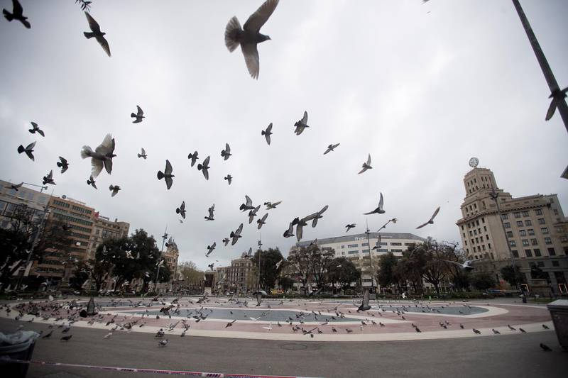 epa08297501 Pigeons fly over Catalonia Square in Barcelona Spain, 16 March 2020. The Spanish Government declared the alarm status in the whole country establishing restrictions to citizens' movements in public spaces. People will be only allowed to leave their homes to go to work, return home, go to supermarkets to buy basic commodities, pharmacies or attend doctor appointment or emergencies.  EPA/Marta Perez