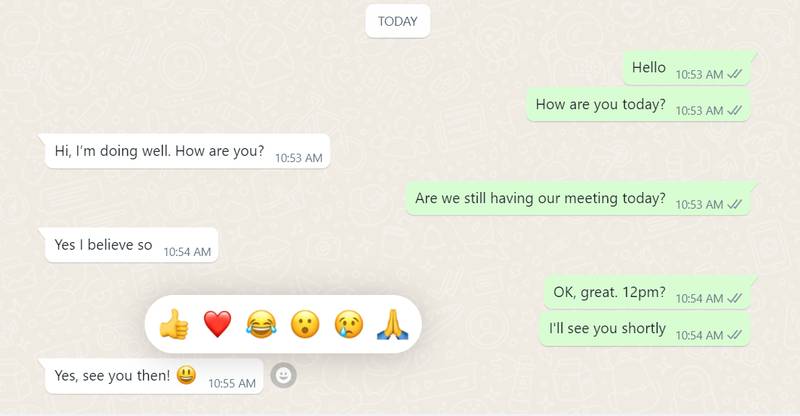 WhatsApp is expanding its reaction feature to include all emojis. Photo: The National