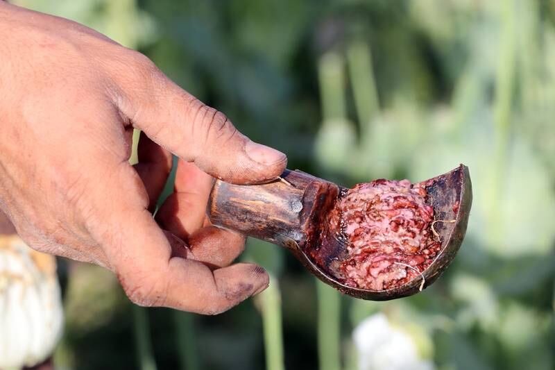 Raw opium from Afghanistan, where some farmers grow poppies instead of crops to make a living. Much of the illegal crop is smuggled through India. EPA