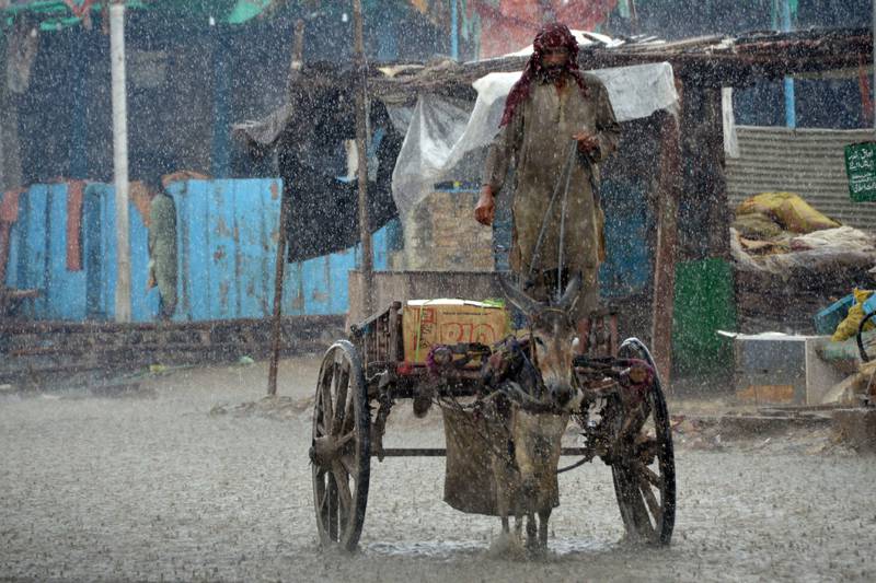 A man rides a donkey cart during heavy rain in the flood-hit Dera Allah Yar town, in Pakistan's Jaffarabad district. Monsoon rains have submerged a third of the country and claimed more than 1,100 lives.  AFP