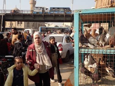 Egypt pays women with two children or less in latest population control tactic