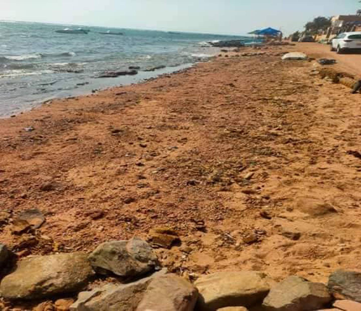 A beach in the Egyptian Red Sea beach town of Dahab where traces of crude oil were found following an oil spill near the Jordanian port city of Aqaba. Photo: Egypt's Ministry of Environment.