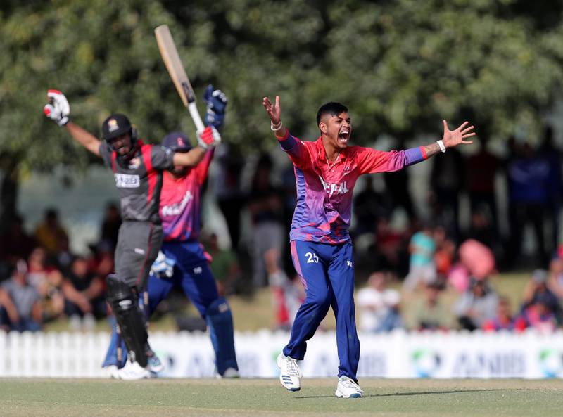 Dubai, United Arab Emirates - January 26, 2019: Sandeep Lamichhane of Nepal takes the wicket of Chundangapoyil Rizwan of the UAE in the the match between the UAE and Nepal in a one day internationl. Saturday, January 26th, 2019 at ICC, Dubai. Chris Whiteoak/The National