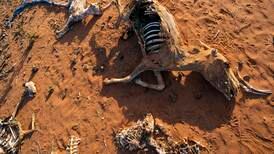 East Africa's drought likely to kill one person every 36 seconds