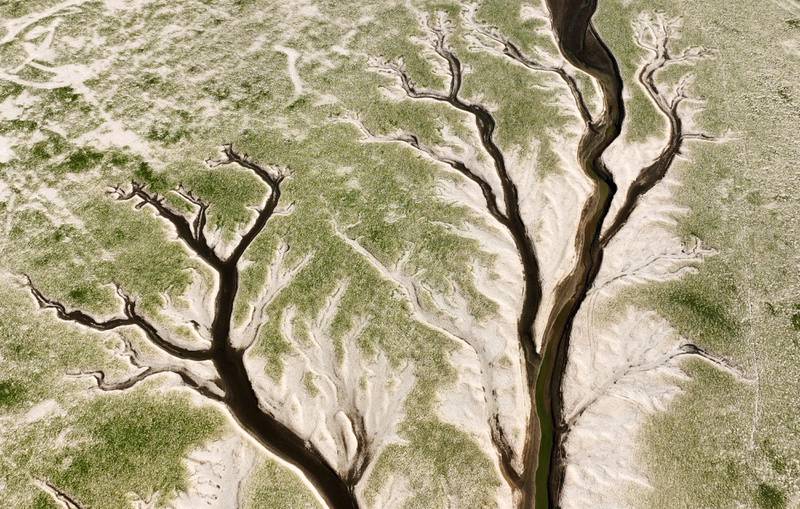 Dry sections of Poyang Lake in Jiujiang, Jiangxi province, China. AFP