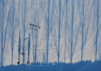 People cast their shadow on snow-covered field while taking a walk at a park in Chuncheon, South Korea. Reuters