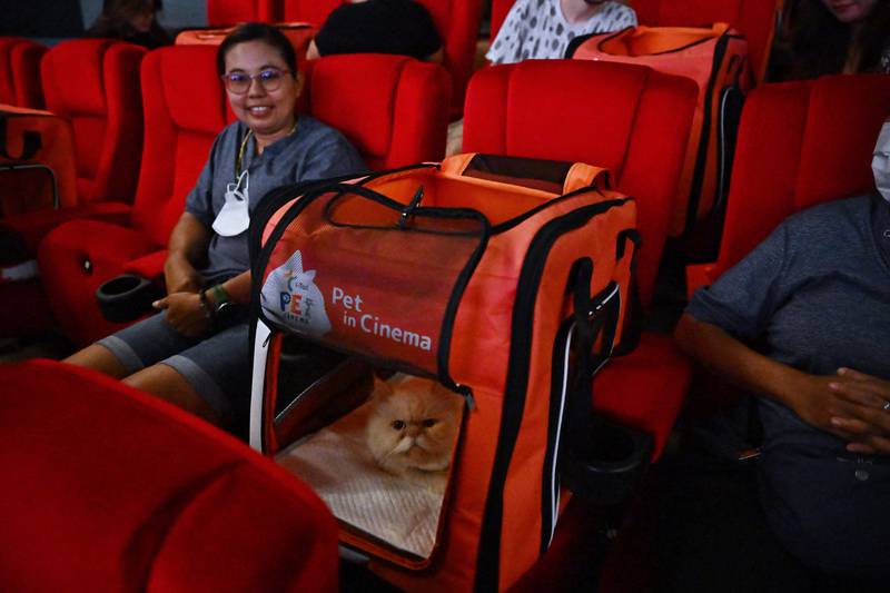 Thailand opens its first pet-friendly cinema just outside of Bangkok