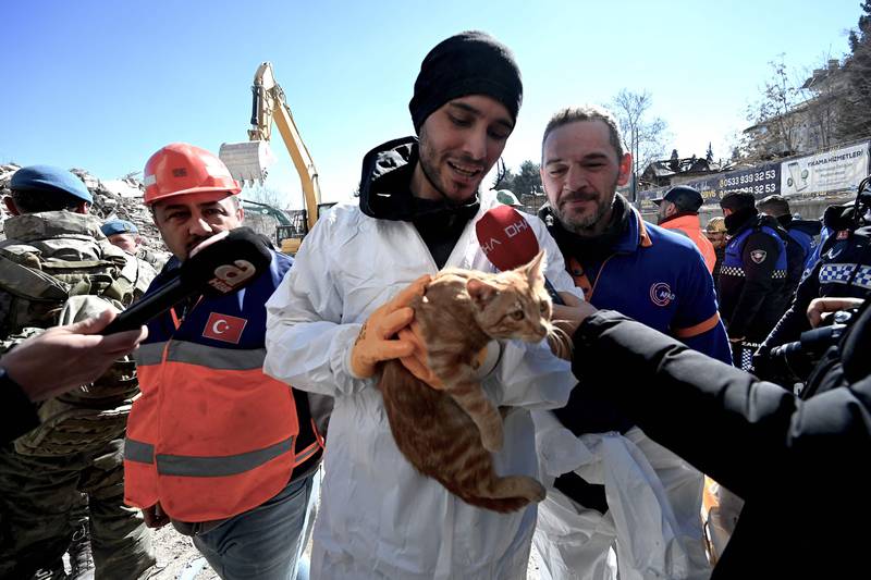 A rescuer holds a cat after it was rescued from the ruins of a collapsed building in Kahramanmaras. AFP