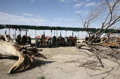 A row of tractors sit idle during a strike by farmers, at the entrance to the town of Varzaneh, in Isfahan, on July 11, 2018. AP Photo
